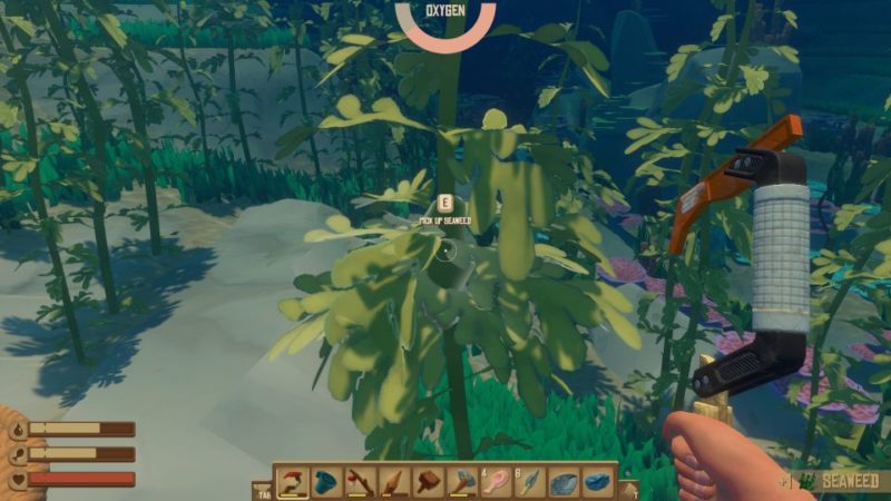 where to find seaweed in raft game