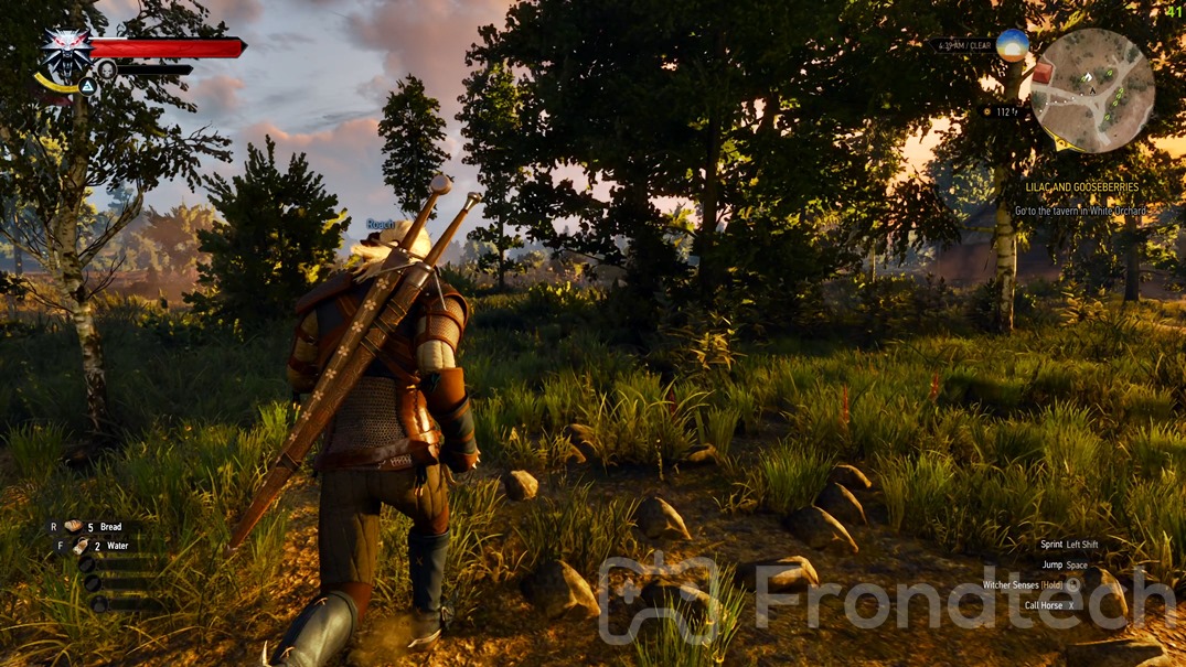 The Witcher 3 Next Gen with Ray Tracing Enabled running on RTX 3060 Ti - Screenshot by Frondtech