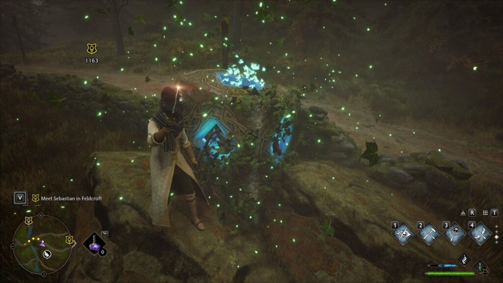 Bring the Glowing Moths to the Pillar to solve the puzzle