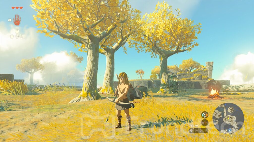 Bow in Zelda TOTK - Screenshot by Frondtech